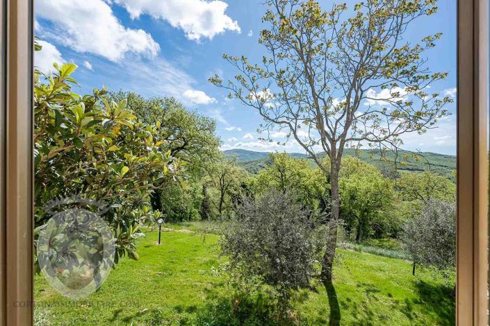 Image No.38-Property for sale