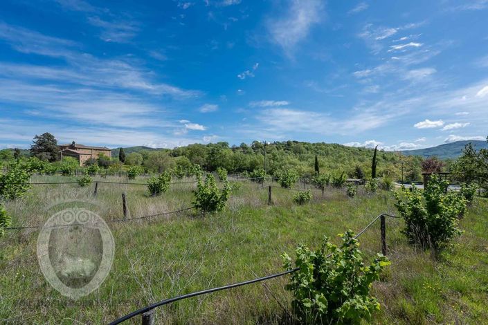 Image No.7-Property for sale