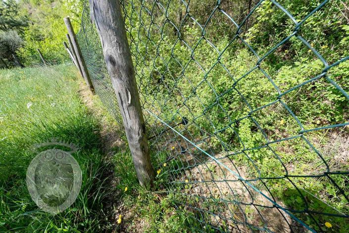 Image No.8-Property for sale