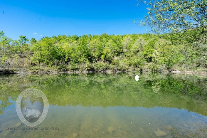 Image No.9-Property for sale