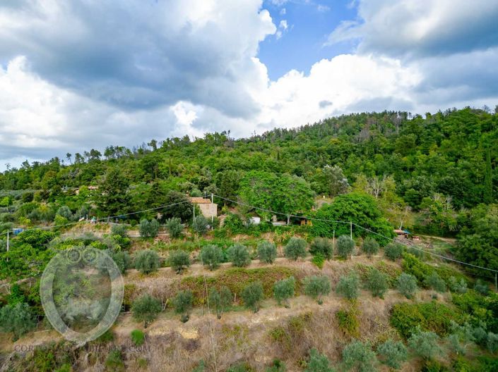 Image No.1-Propriété à vendre à Cortona