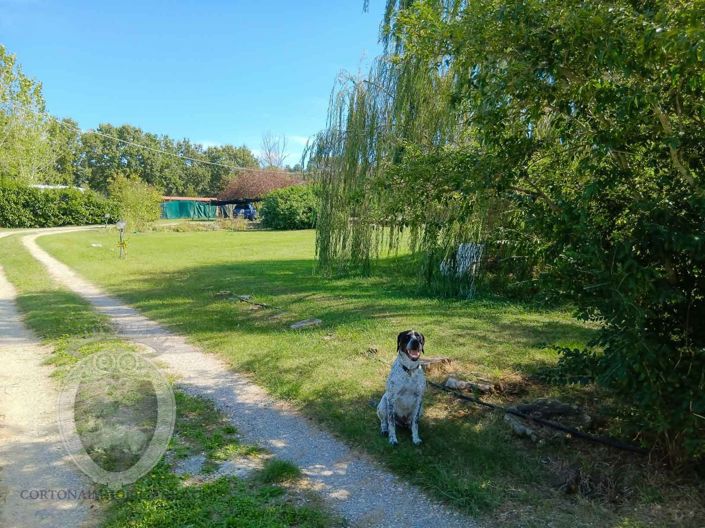 Image No.12-Property for sale