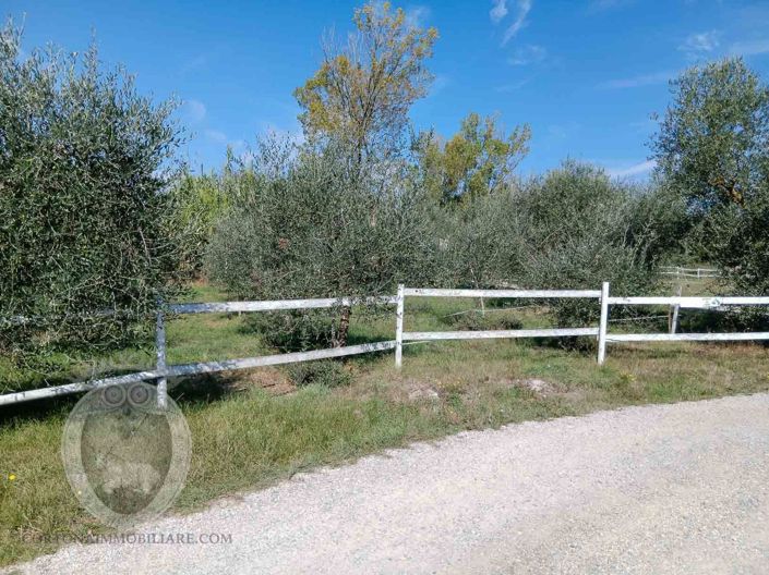 Image No.4-Property for sale