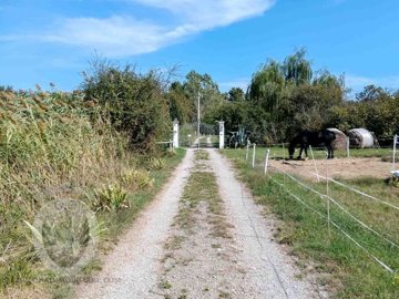 599215825