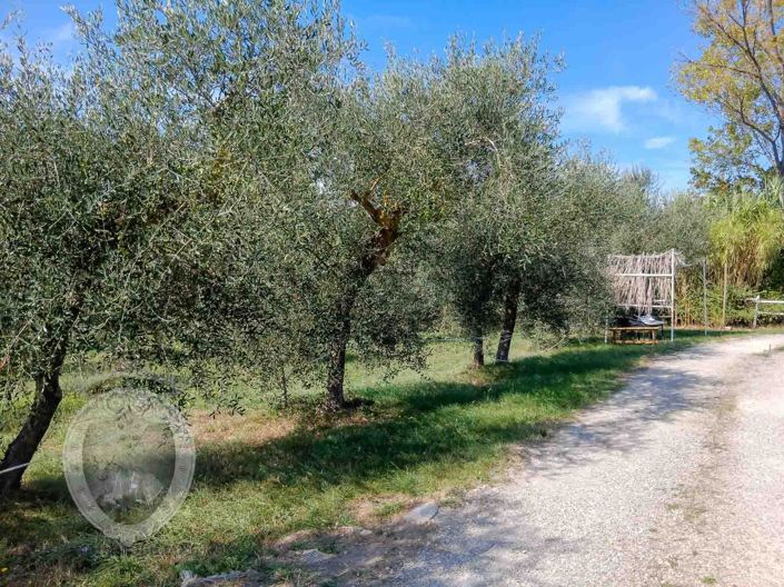 Image No.8-Property for sale