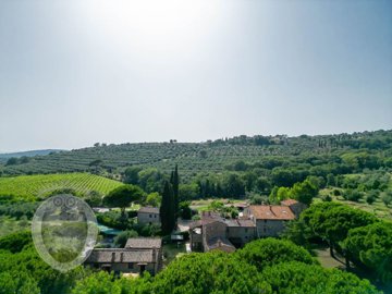 560053256