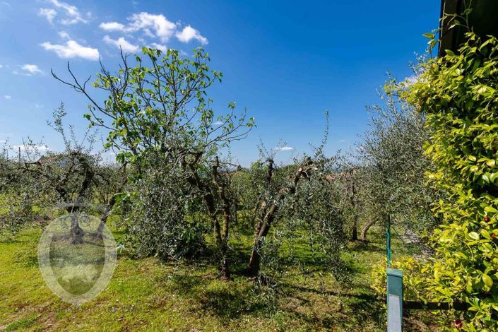 Image No.34-Property for sale