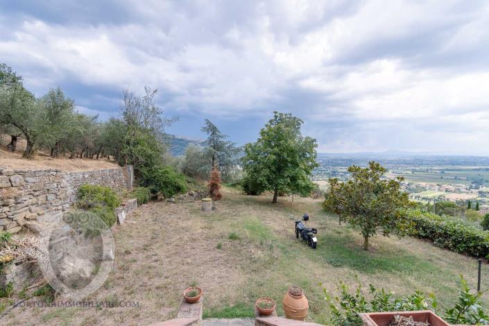 Image No.5-Ferme de 2 chambres à vendre à Cortona
