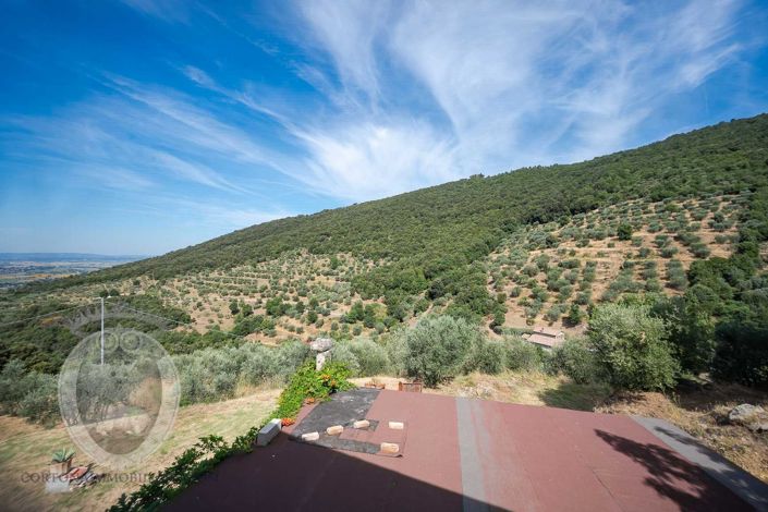 Image No.19-Property for sale