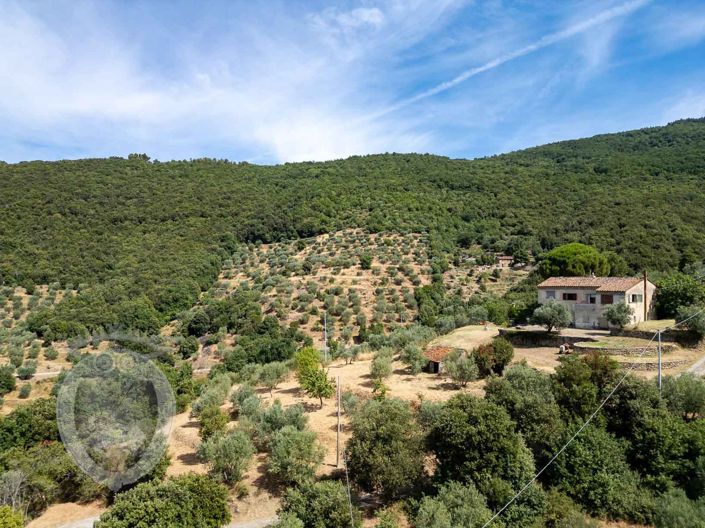 Image No.34-Property for sale