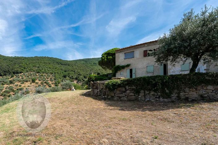 Image No.4-Property for sale