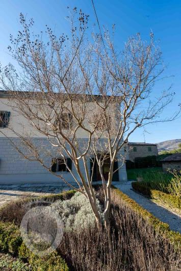 Image No.28-Villa de 4 chambres à vendre à Cortona