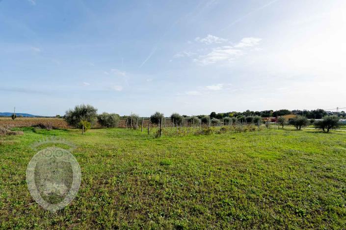 Image No.6-Ferme de 7 chambres à vendre à Cortona