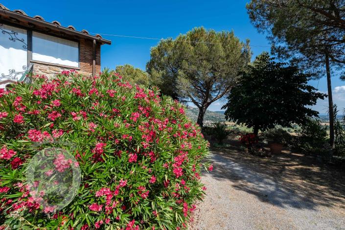 Image No.16-4 Bed Farmhouse for sale