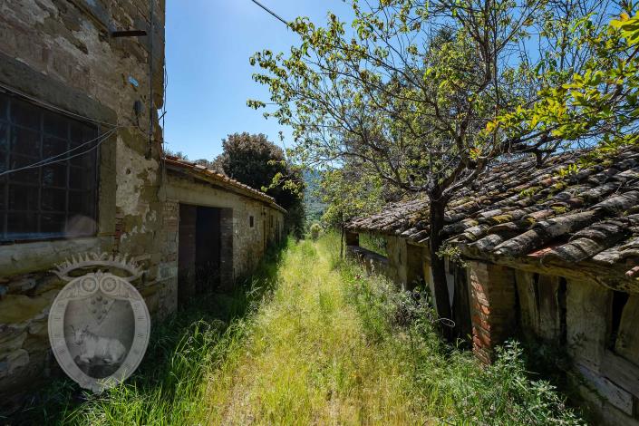 Image No.23-8 Bed Farmhouse for sale