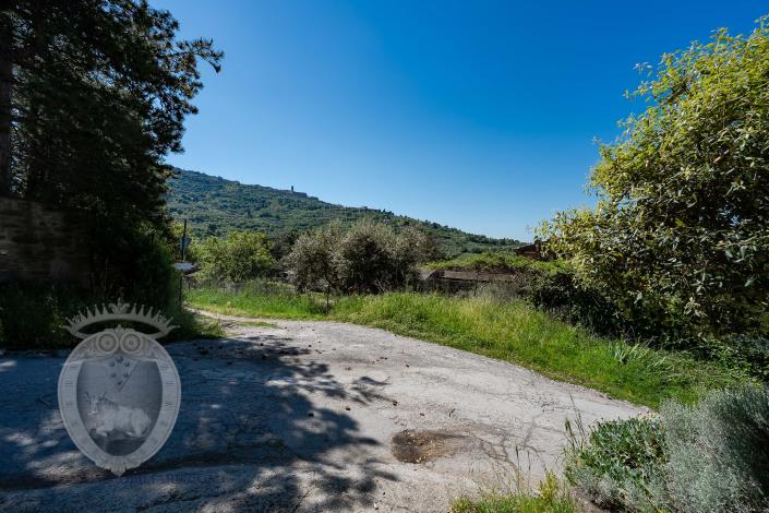 Image No.24-8 Bed Farmhouse for sale