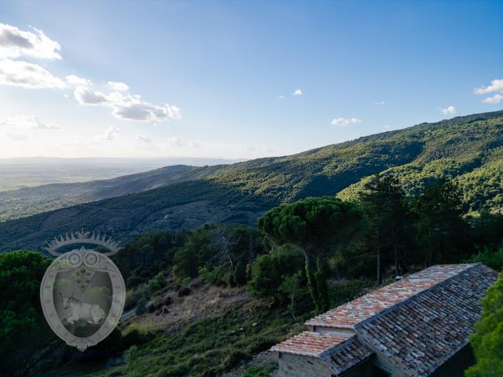 Image No.8-3 Bed Farmhouse for sale