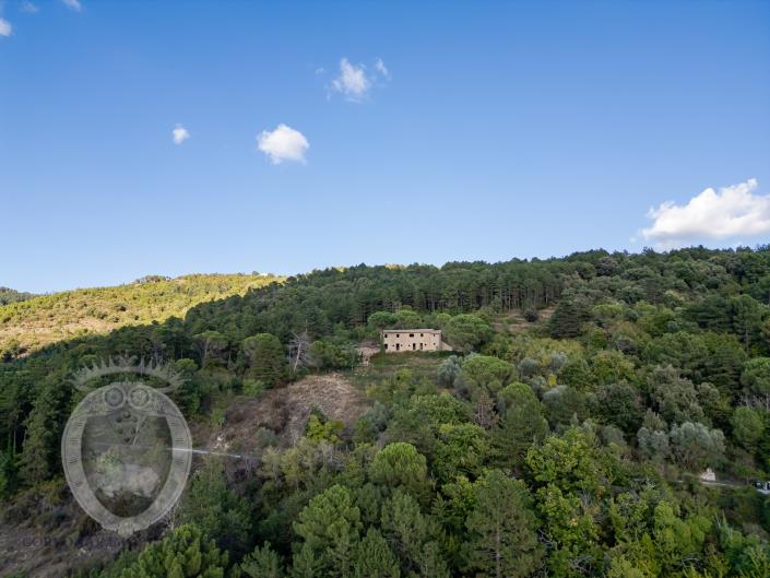 Image No.9-3 Bed Farmhouse for sale