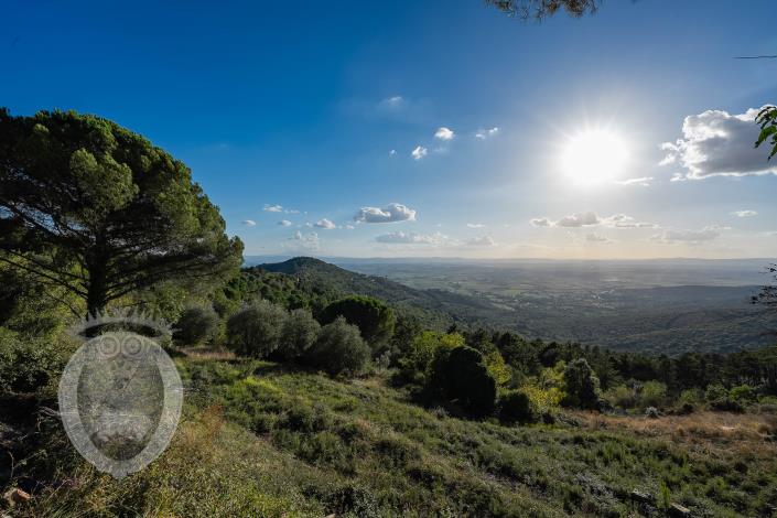 Image No.20-3 Bed Farmhouse for sale