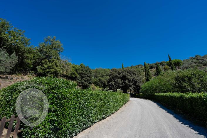 Image No.19-8 Bed Farmhouse for sale