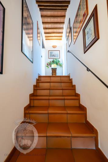 Image No.31-Ferme de 4 chambres à vendre à Corciano