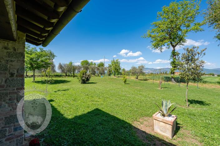 Image No.20-Ferme de 3 chambres à vendre à Cortona