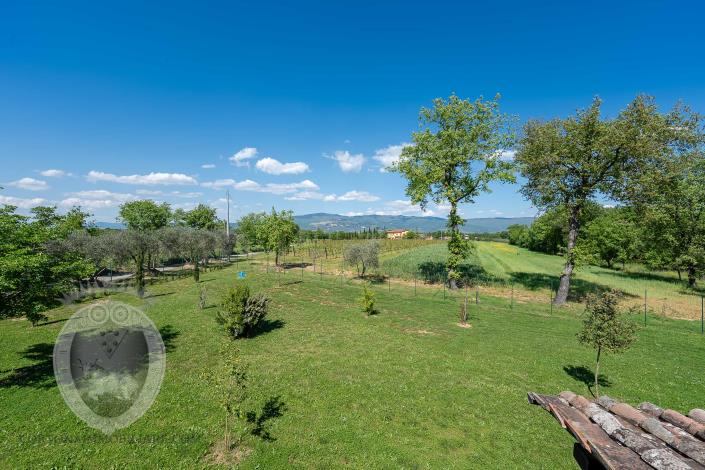 Image No.23-Ferme de 3 chambres à vendre à Cortona