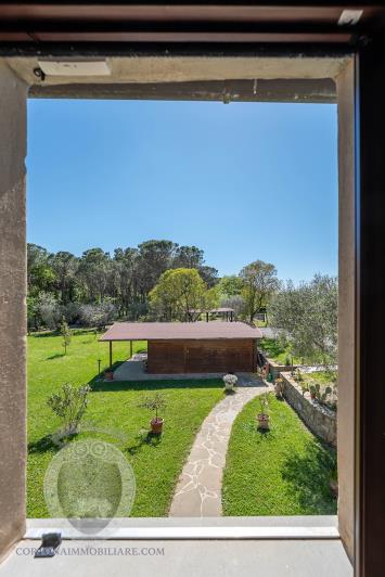 Image No.24-Ferme de 3 chambres à vendre à Cortona