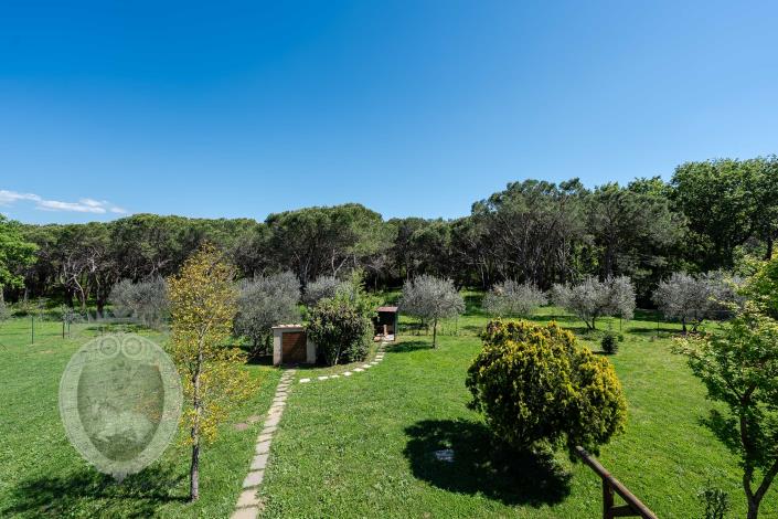 Image No.29-Ferme de 3 chambres à vendre à Cortona