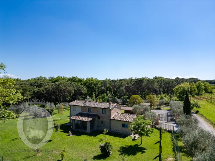 Image No.39-Ferme de 3 chambres à vendre à Cortona