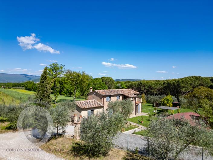 Image No.41-Ferme de 3 chambres à vendre à Cortona