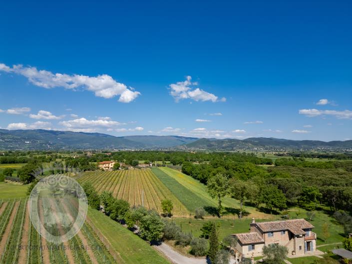 Image No.44-Ferme de 3 chambres à vendre à Cortona