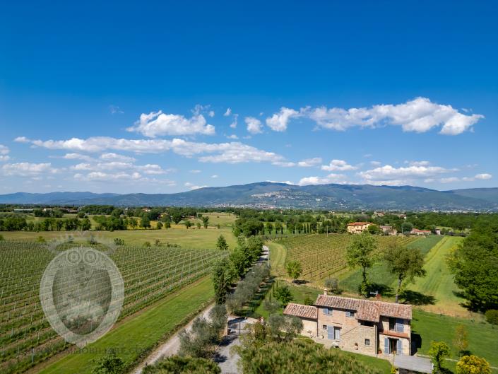 Image No.45-Ferme de 3 chambres à vendre à Cortona