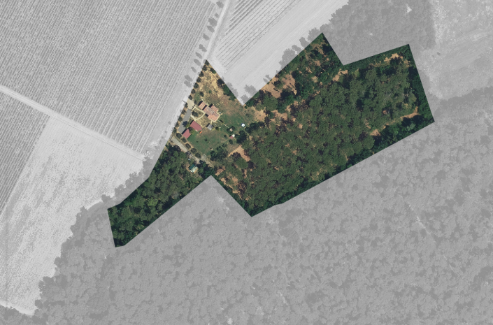 Image No.46-Ferme de 3 chambres à vendre à Cortona