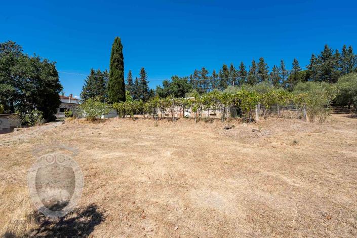 Image No.23-4 Bed Farmhouse for sale