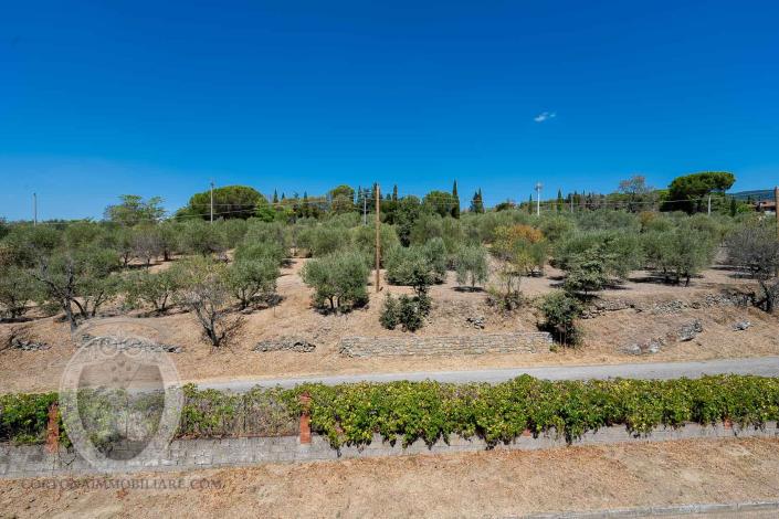 Image No.47-4 Bed Farmhouse for sale