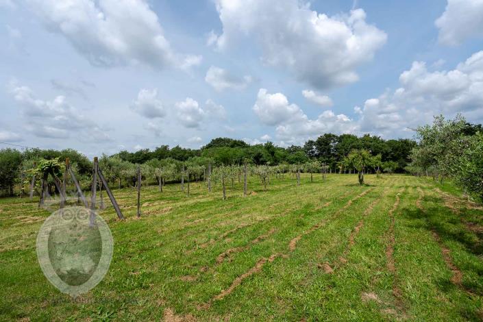 Image No.27-4 Bed Farmhouse for sale