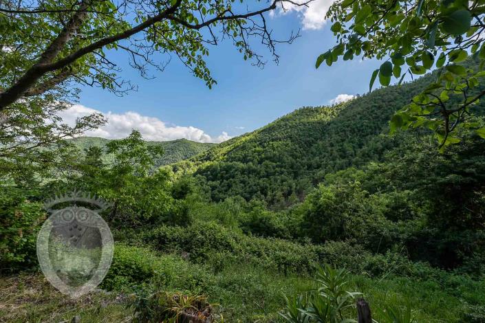 Image No.12-4 Bed Farmhouse for sale