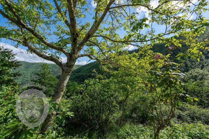 Image No.15-4 Bed Farmhouse for sale