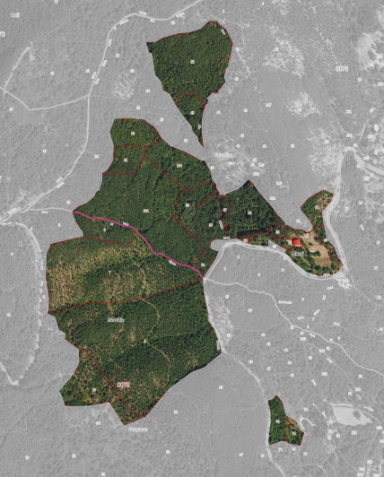 Image No.3-floorplan-3