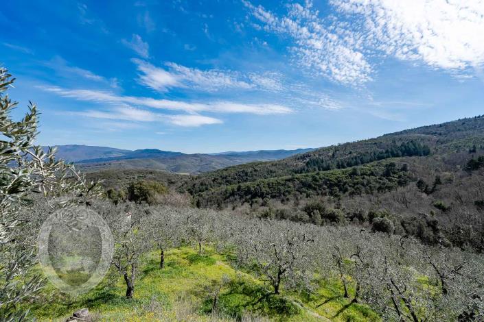 Image No.12-3 Bed Farmhouse for sale