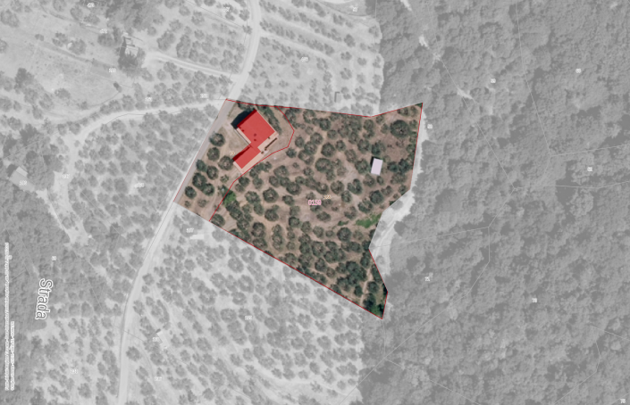 Image No.2-floorplan-2