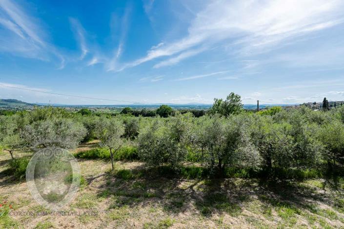 Image No.14-4 Bed Farmhouse for sale