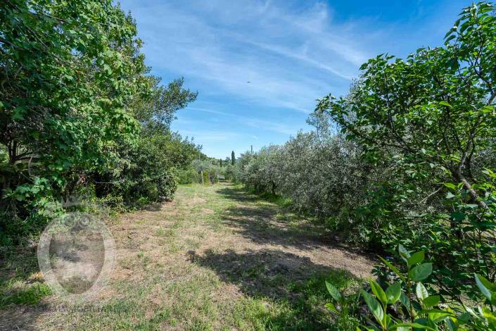 Image No.19-4 Bed Farmhouse for sale