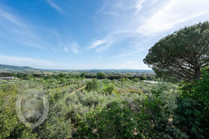 Image No.49-4 Bed Farmhouse for sale