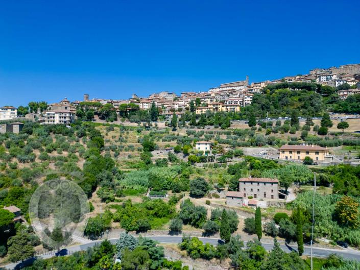 Image No.11-7 Bed Farmhouse for sale