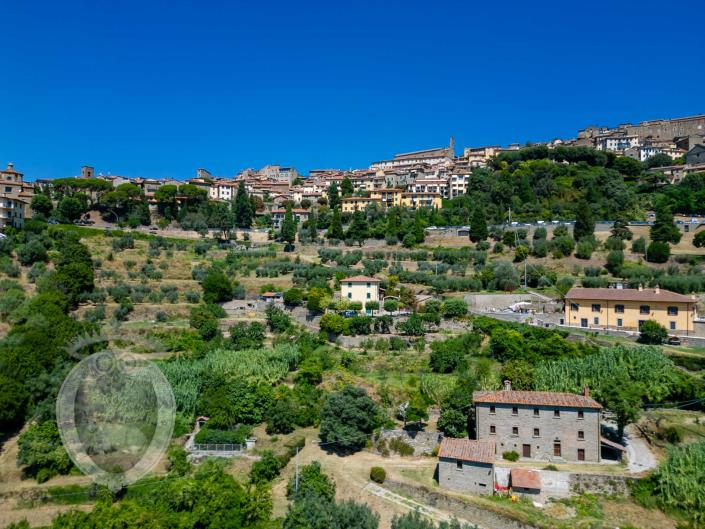 Image No.12-7 Bed Farmhouse for sale