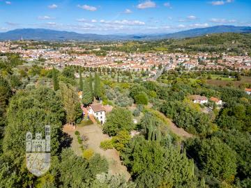 T082d-2