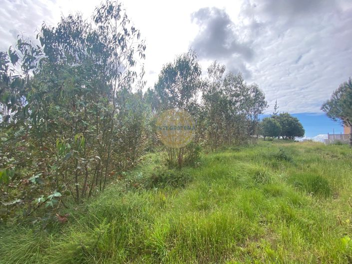 Image No.1-Land for sale