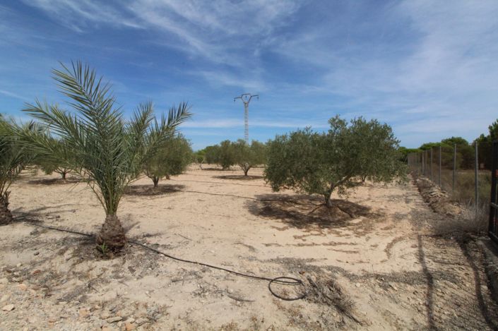 Image No.12-Land for sale